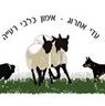 עדי